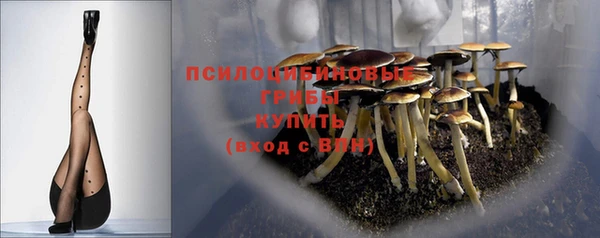 2c-b Алзамай