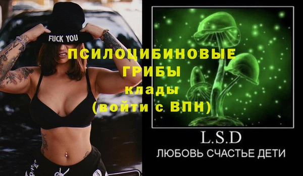 2c-b Алзамай