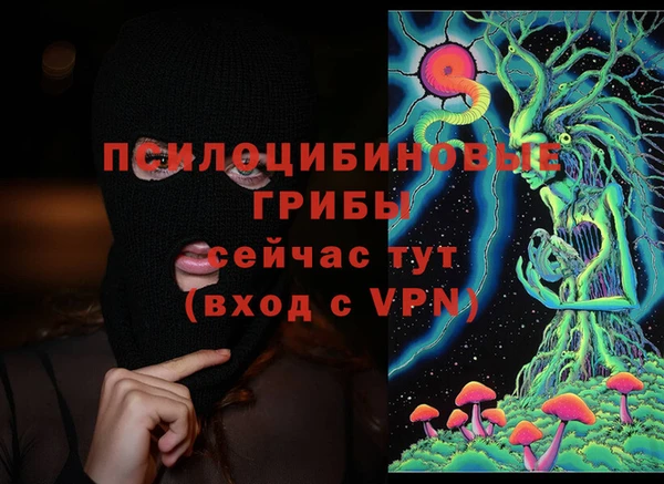 2c-b Алзамай